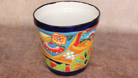 Colorful Vaso pot