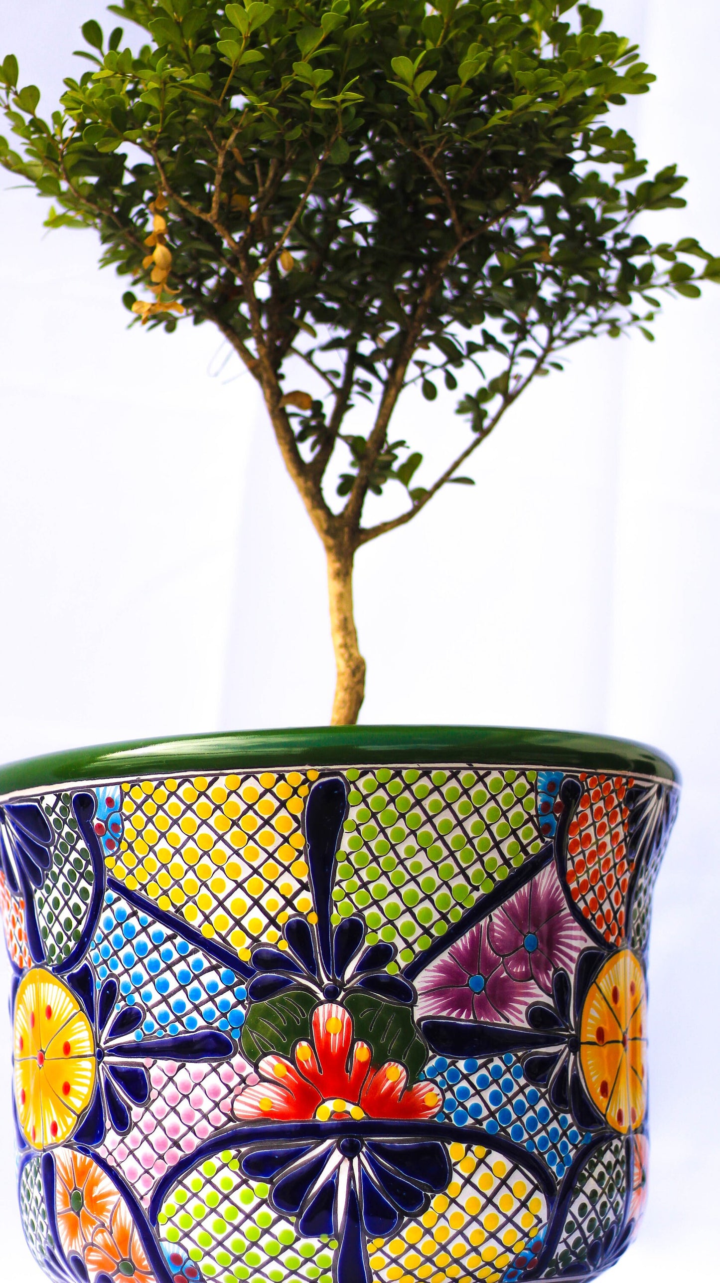 A mushroom Talavera pot