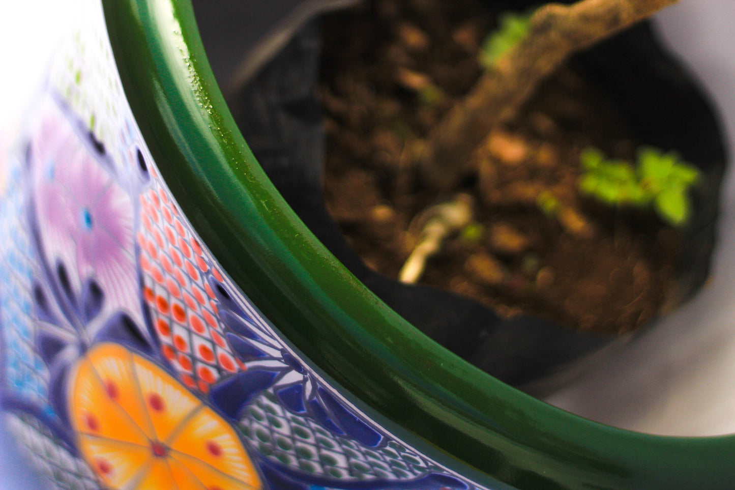 A mushroom Talavera pot