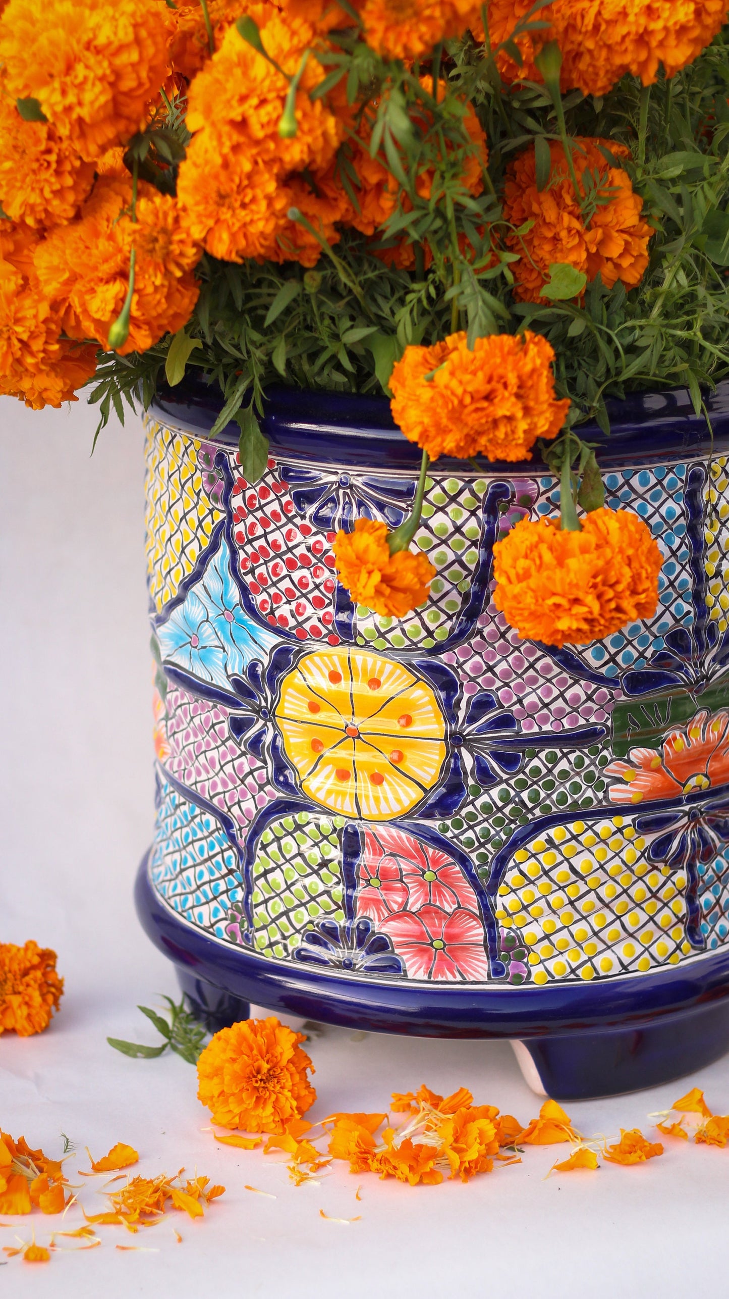 Colorful Vaso Talavera Pot